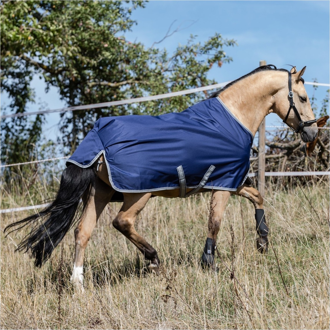 Regendecke Light FREEDOM TURNOUT navy/silber