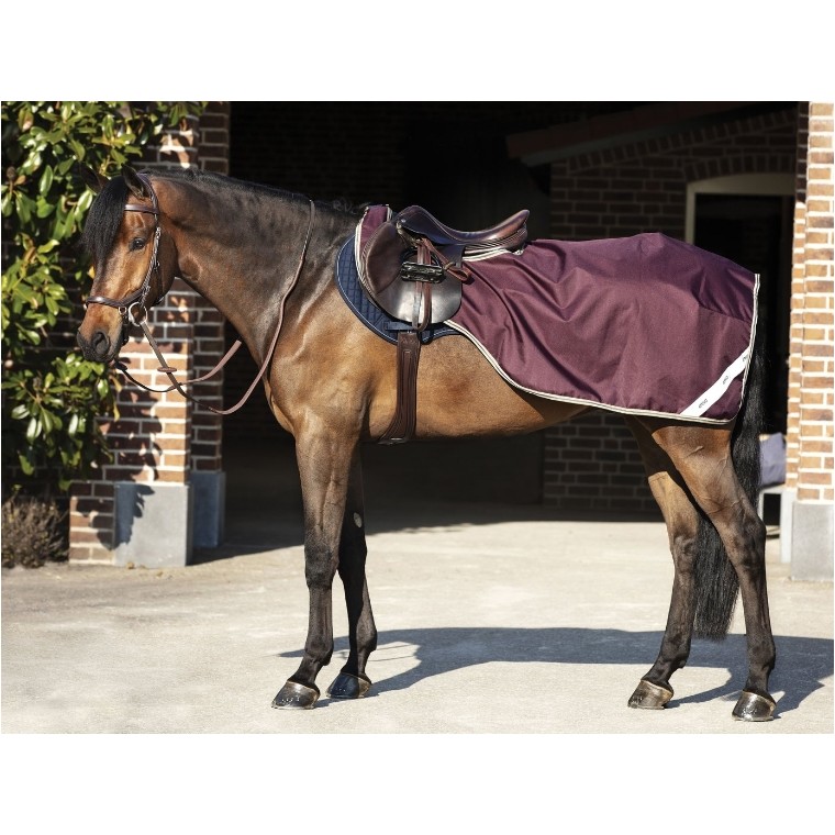 Ausreitdecke 600D AMIGO fig/navy/tan