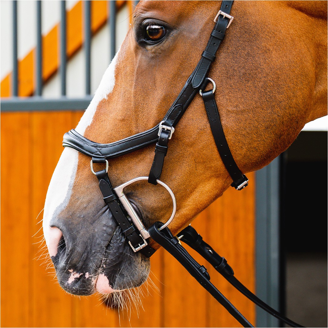 Trensenzaum MICKLEM 2 Deluxe Competition Bridle schwarz