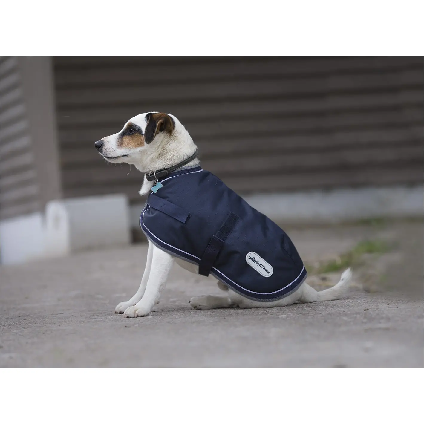 Hundedecke 220g Füllung 600D marineblau