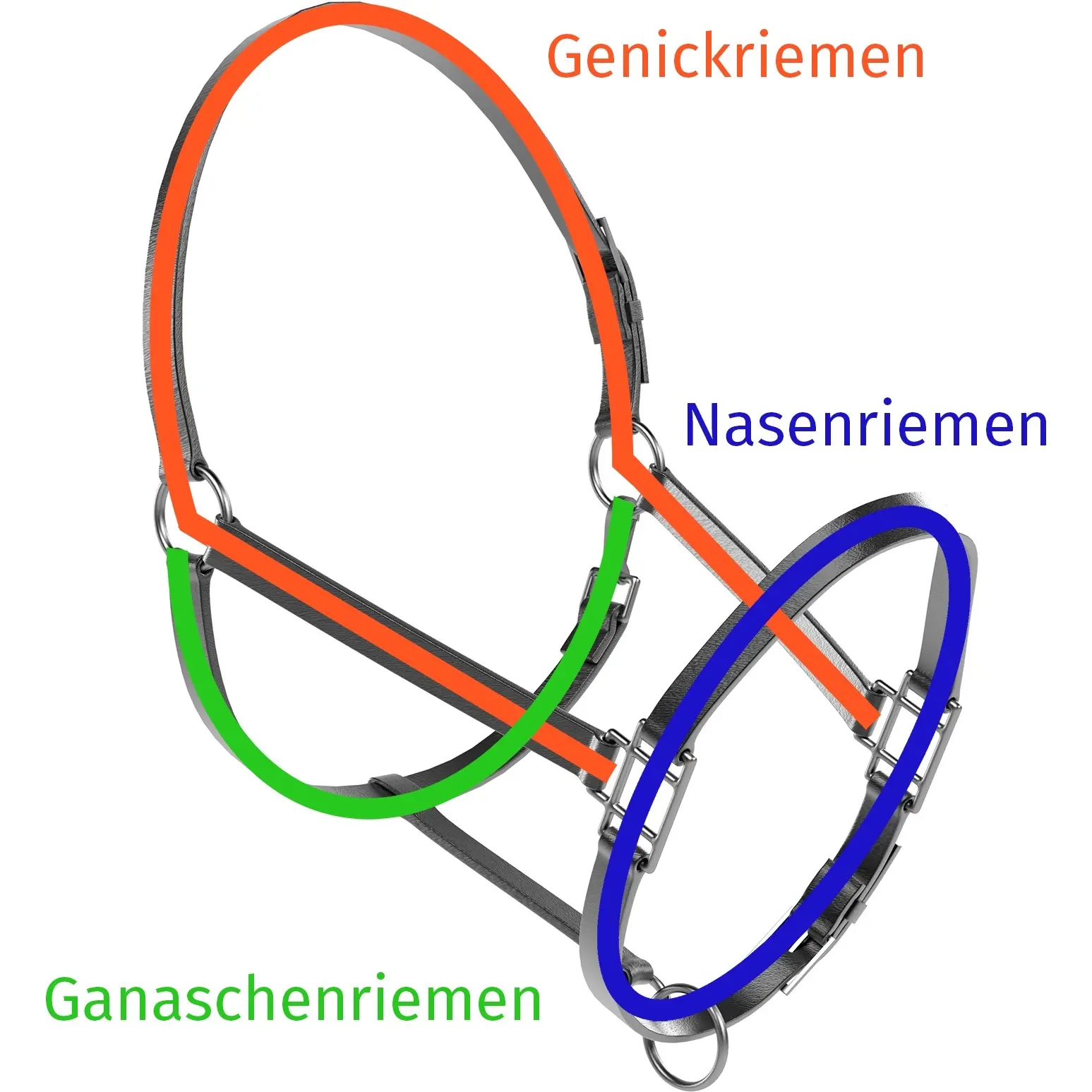 Fohlenhalfter TRIPLE weiß