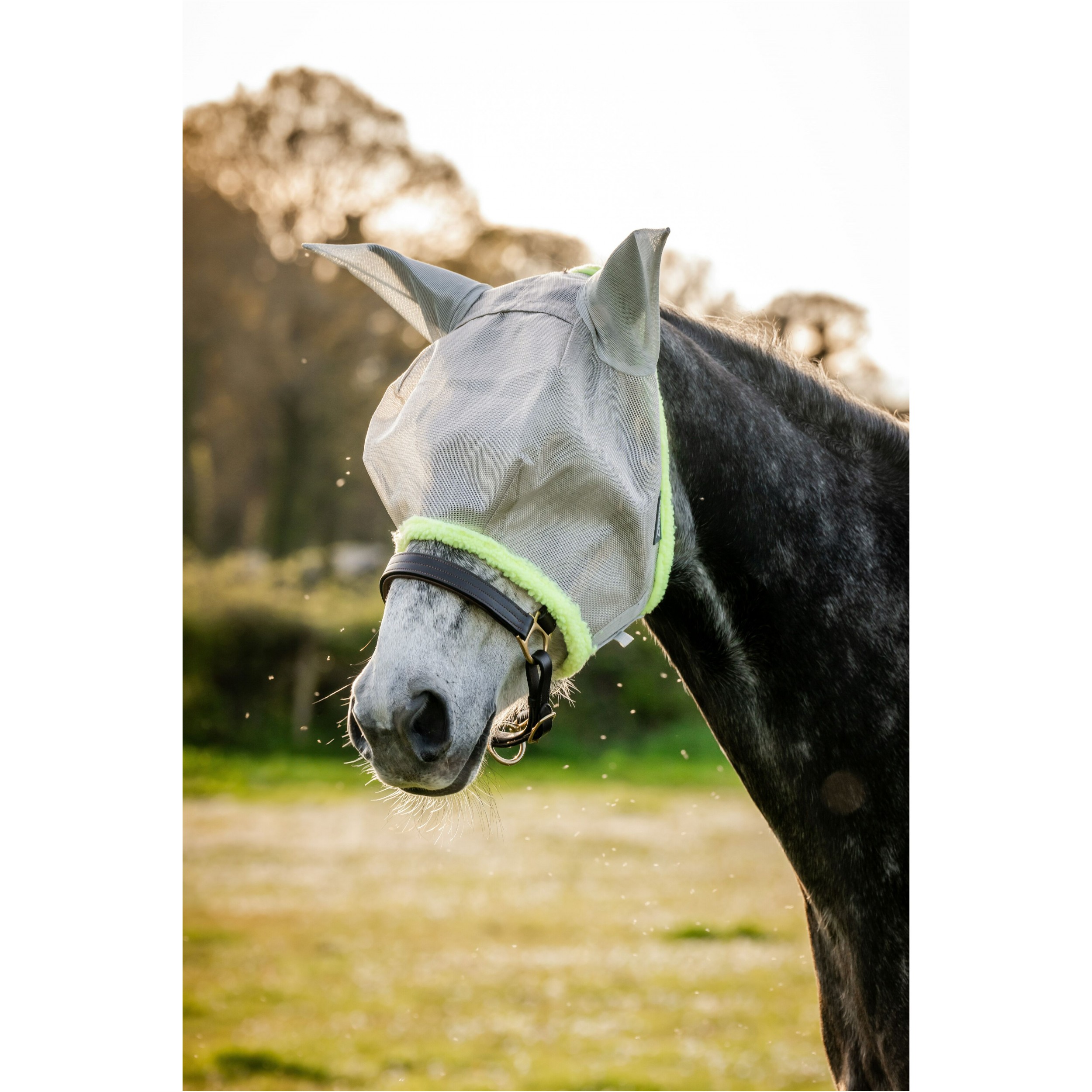 Fliegenmaske AMIGO Flymask silver/lime