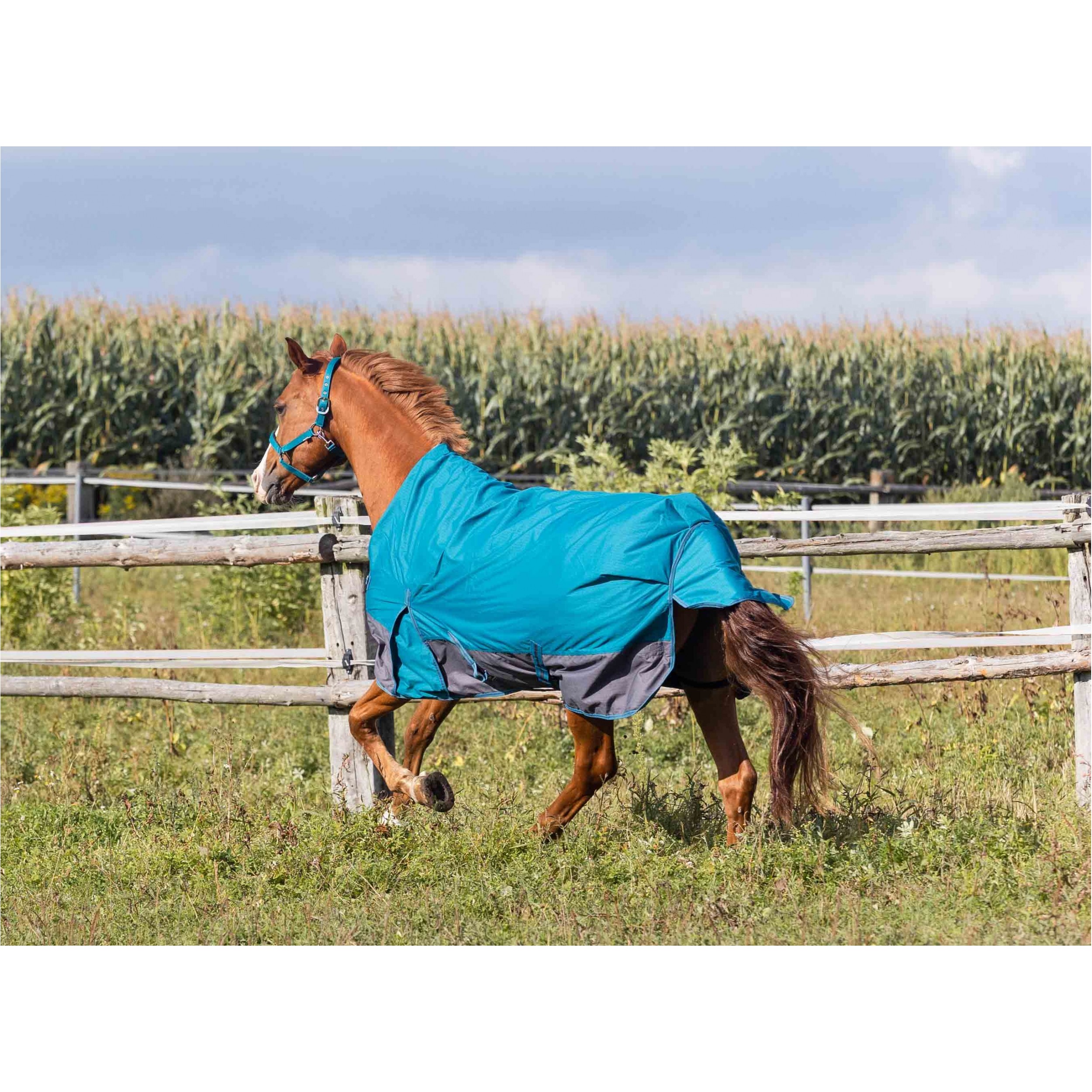 Weidedecke High Neck Polarfleece 600D BASICLINE petrol/graphit - Posten