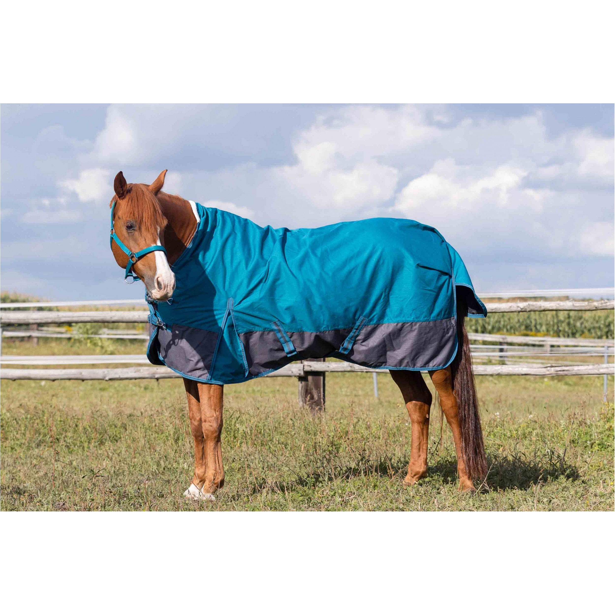 Weidedecke High Neck Polarfleece 600D BASICLINE petrol/graphit - Posten