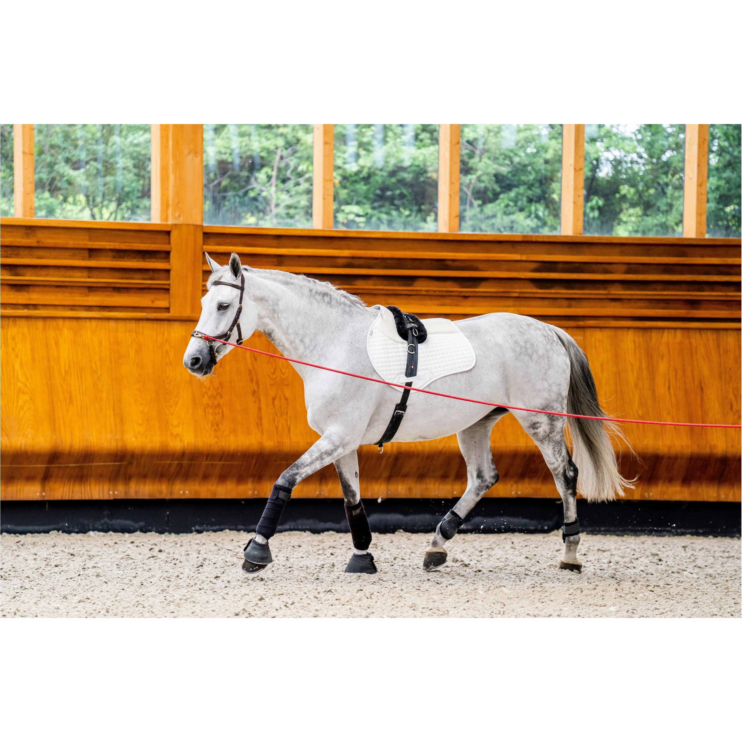 Trensenzaum MICKLEM 2 Multi Bridle dark havanna