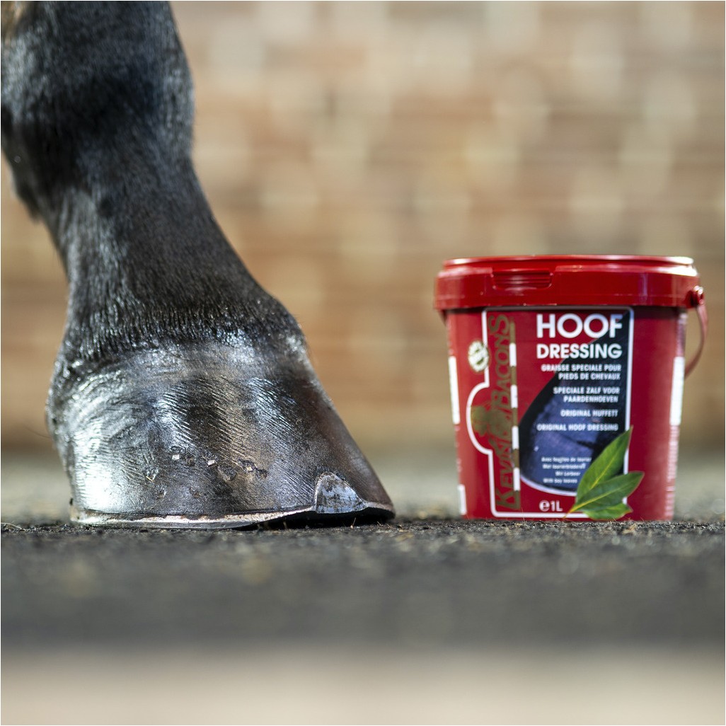 Hufsalbe HOOF DRESSING schwarz