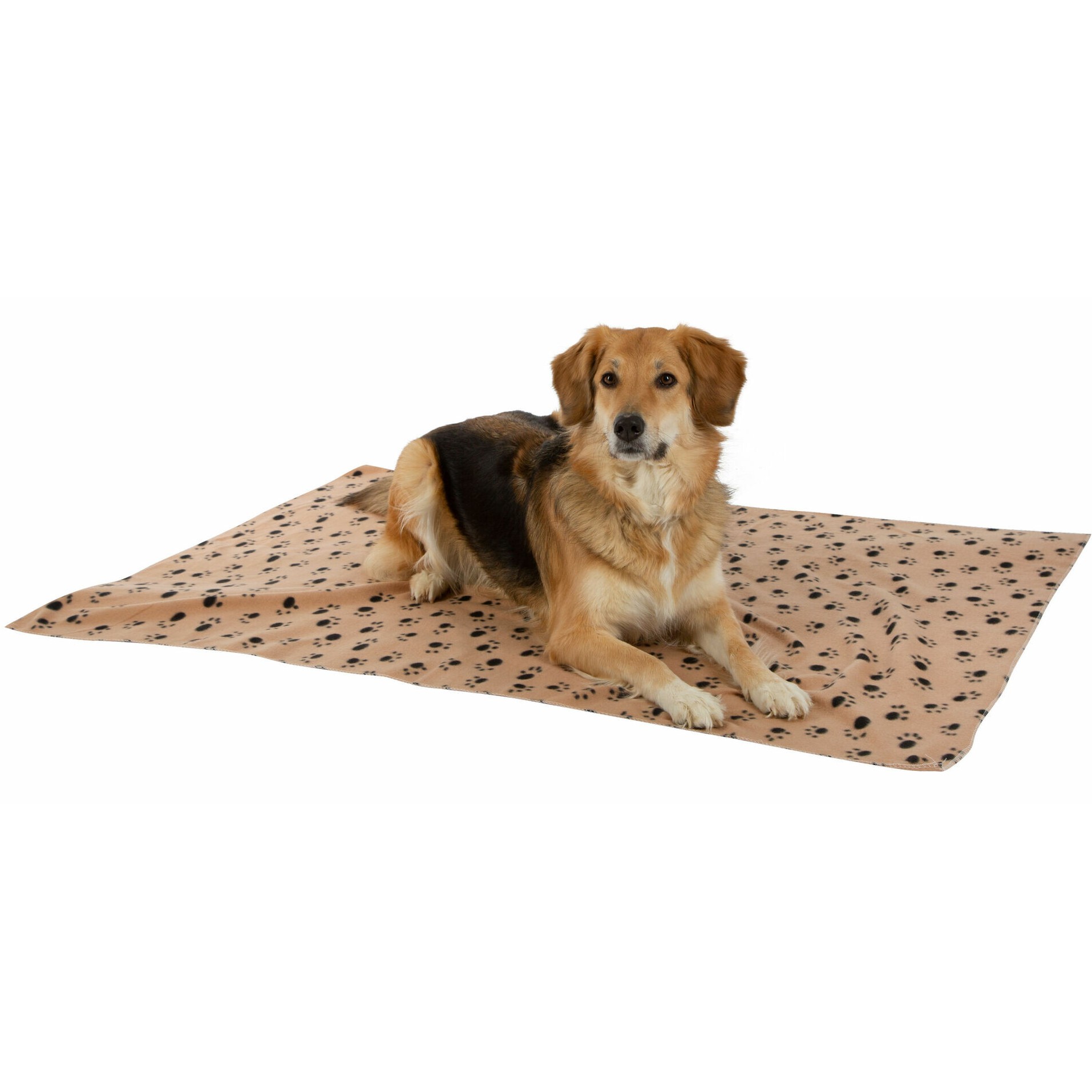 Hundedecke STELLA beige