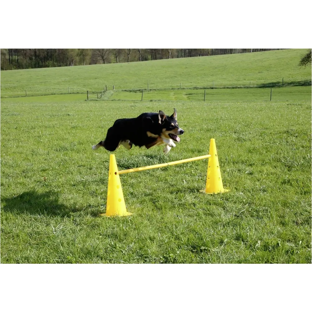 Pylonen-Hürden Set 3 Hürden AGILITY gelb