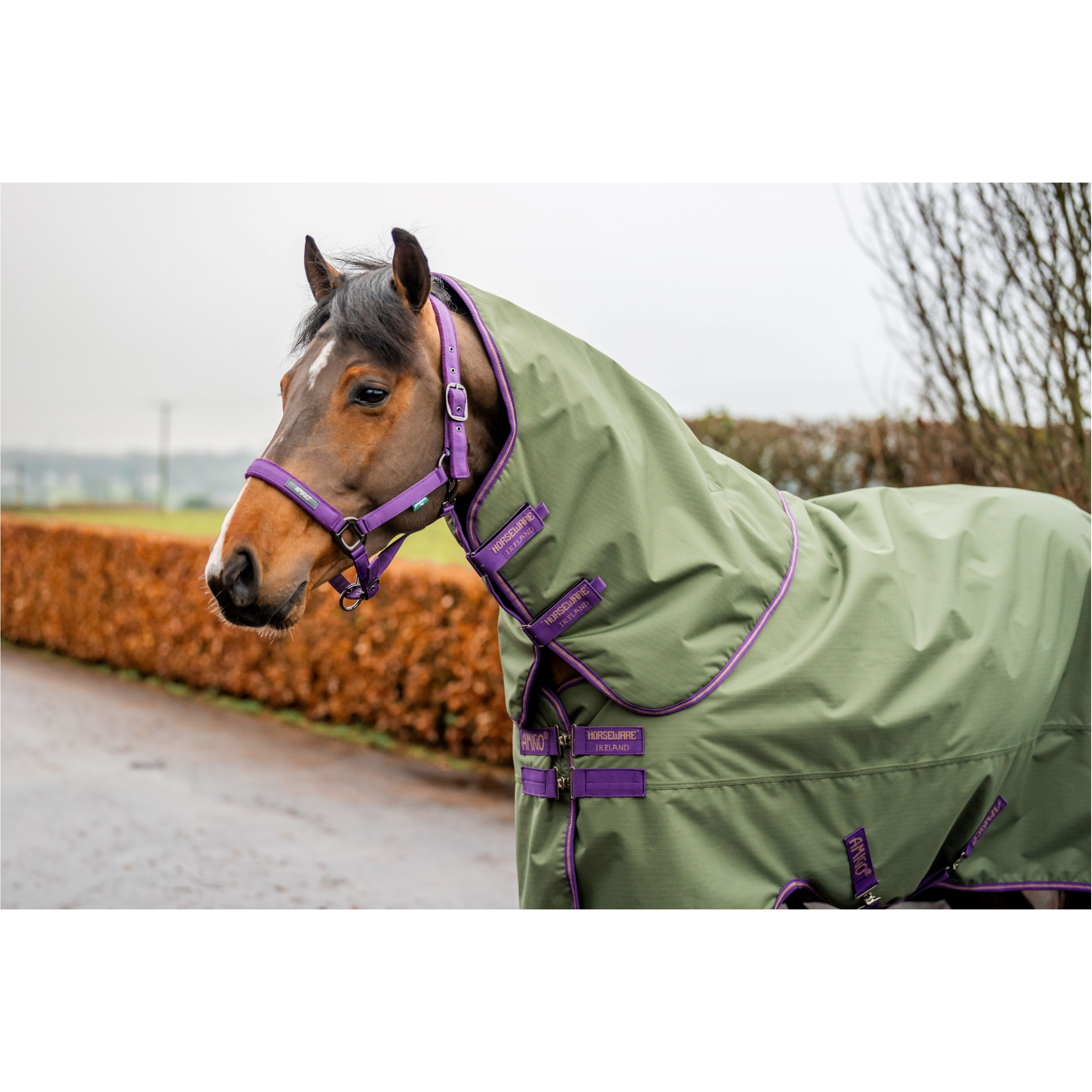 Halsteil 600D AMIGO Hero Ripstop Hood bramble/winterberry/taupe