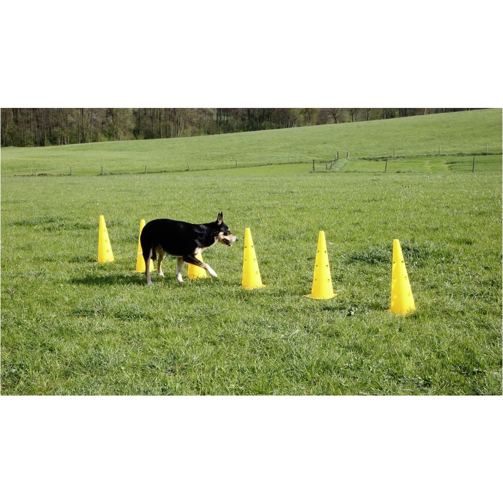 Pylonen-Hürden Set 3 Hürden AGILITY gelb