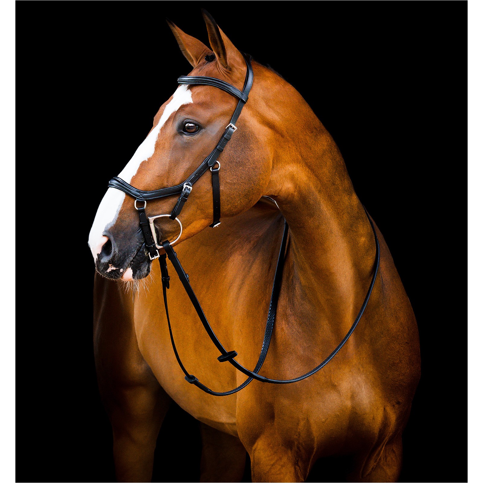 Trensenzaum MICKLEM 2 Deluxe Competition Bridle schwarz