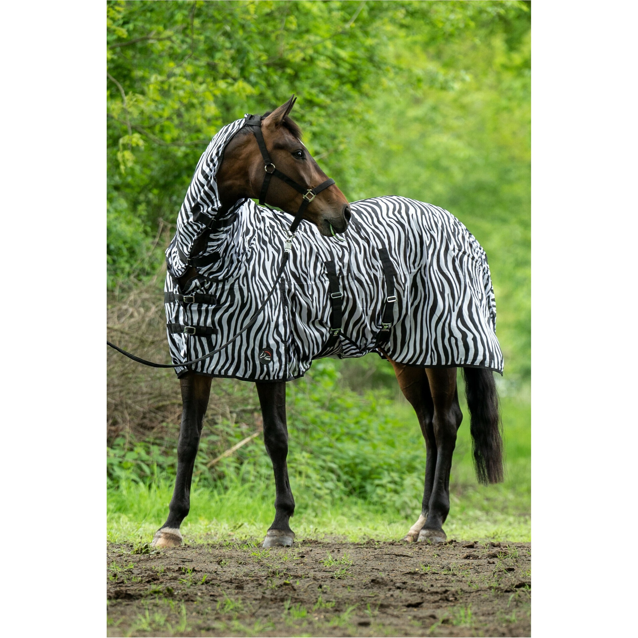 Fliegendecke mit Halsteil und Bauchlatz ZEBRA schwarz/weiß