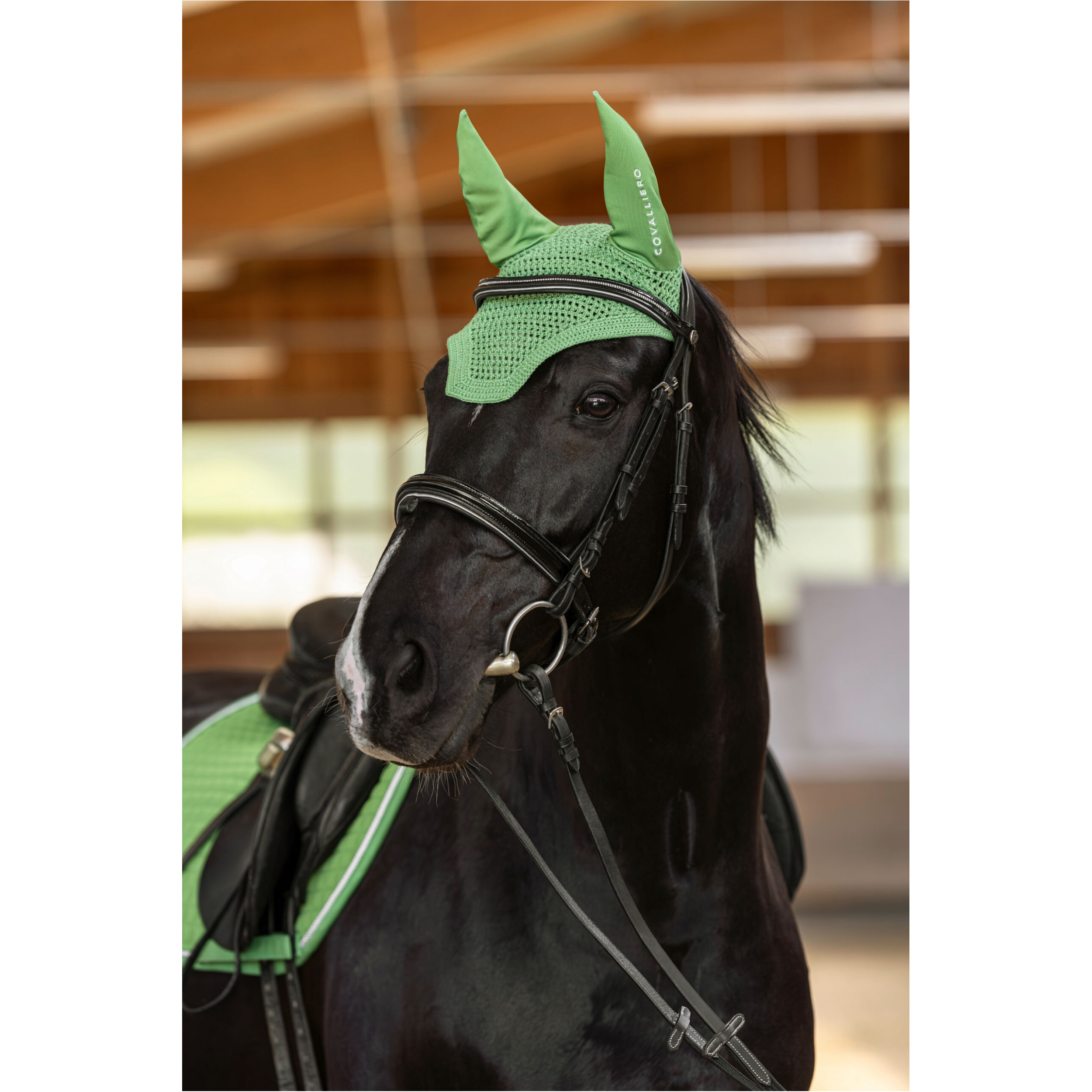 Fliegenhaube F/S 2025 green