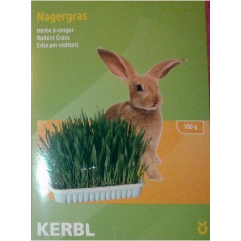 Nagergras 100g