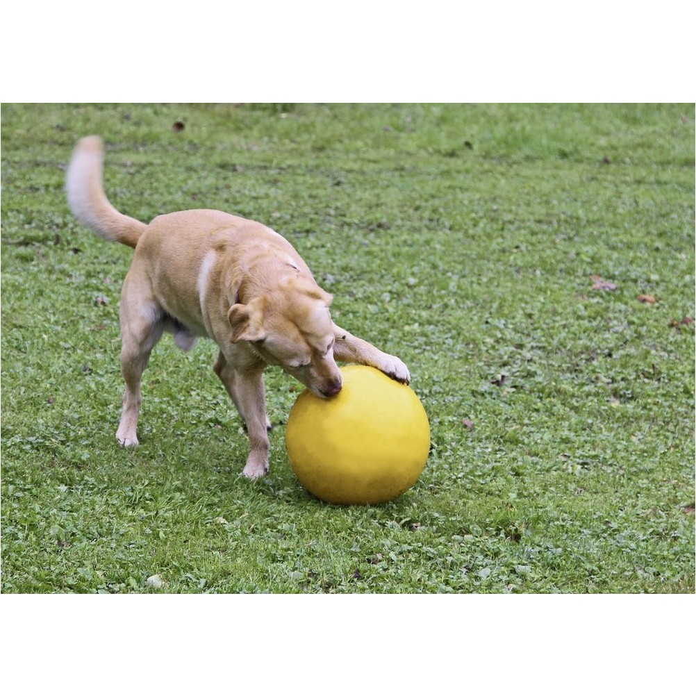 Hundespielball aus Kunststoff gelb ø 30cm 