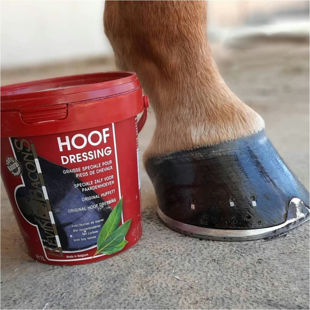 Hufsalbe Original HOOF DRESSING