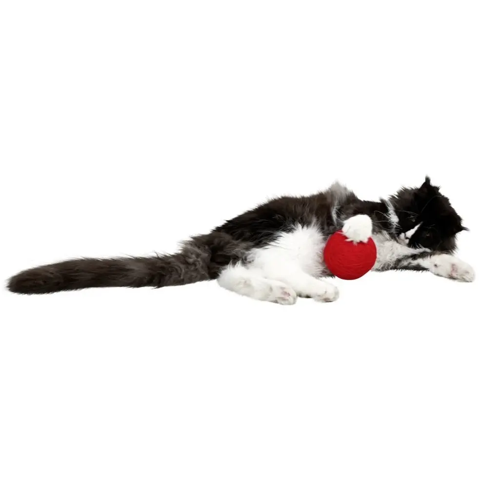 Katzen Wollspielball rot ø 10cm