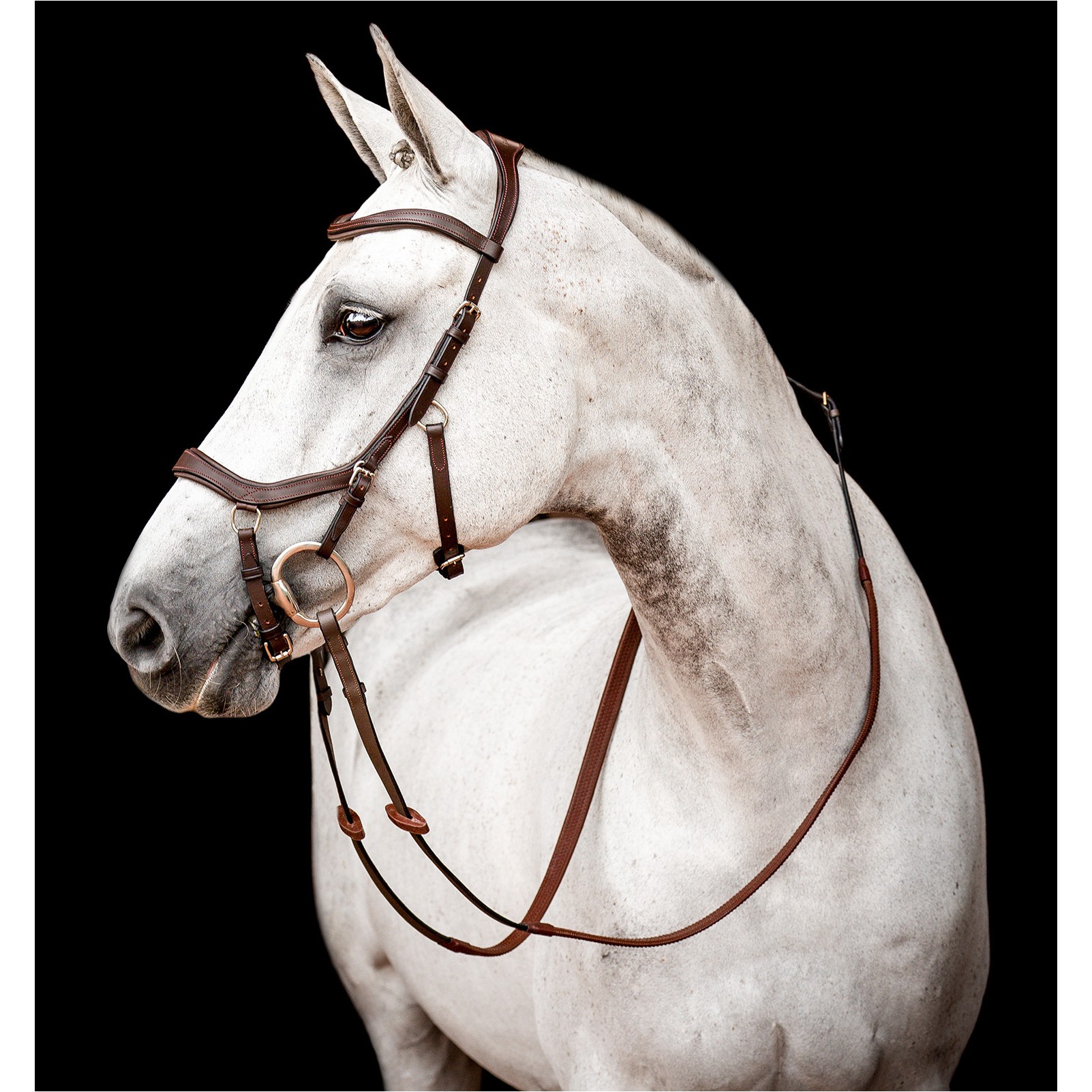 Trensenzaum MICKLEM 2 Competition Bridle dark havana