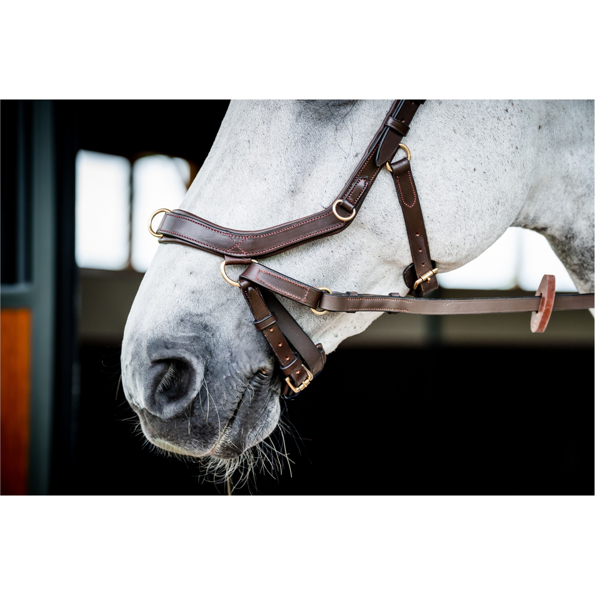 Trensenzaum MICKLEM 2 Multi Bridle dark havanna