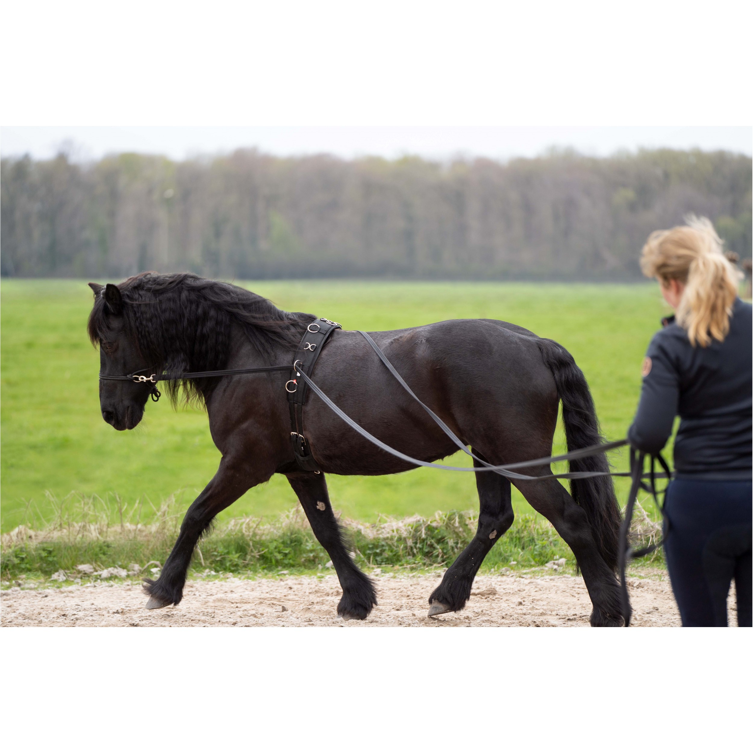 Lange Zügel IRHFree Ride schwarz