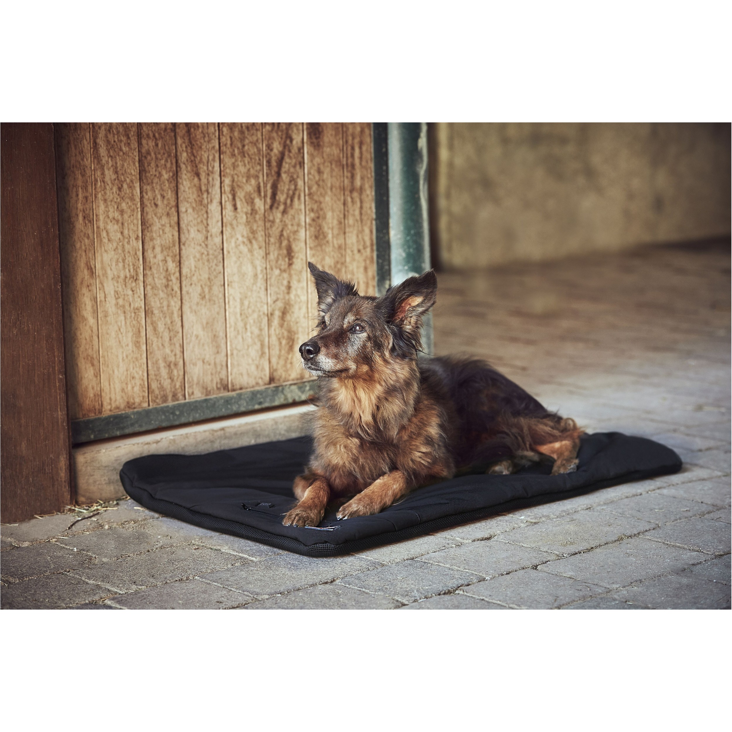 Heizdecke für Hunde FIR-Tech PRO schwarz 90x60cm