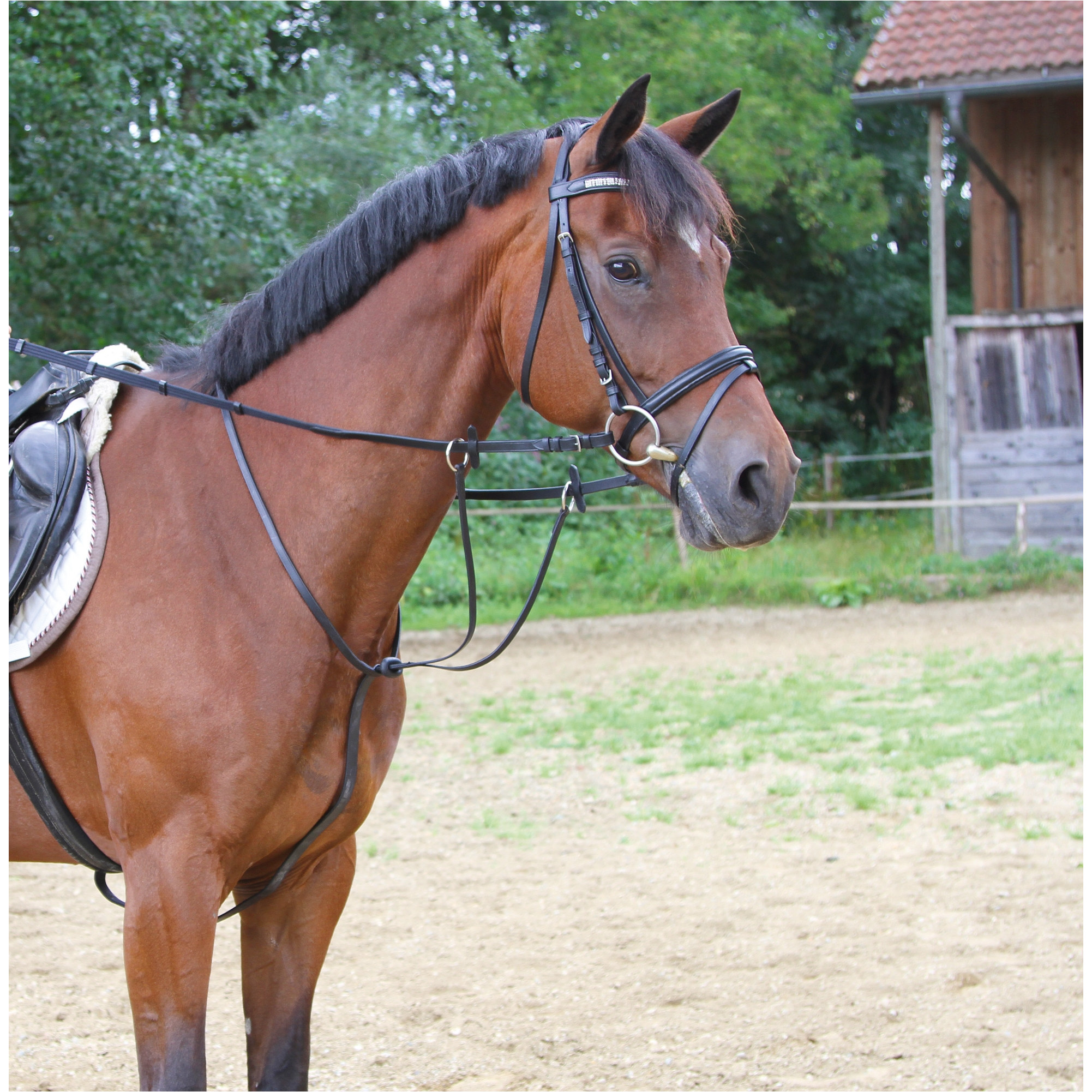 Martingal Leder inklusive Stopper Warmblut schwarz