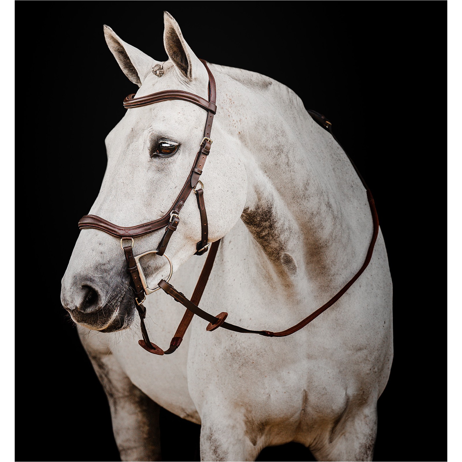 Trensenzaum MICKLEM 2 Deluxe Competition Bridle dark havana