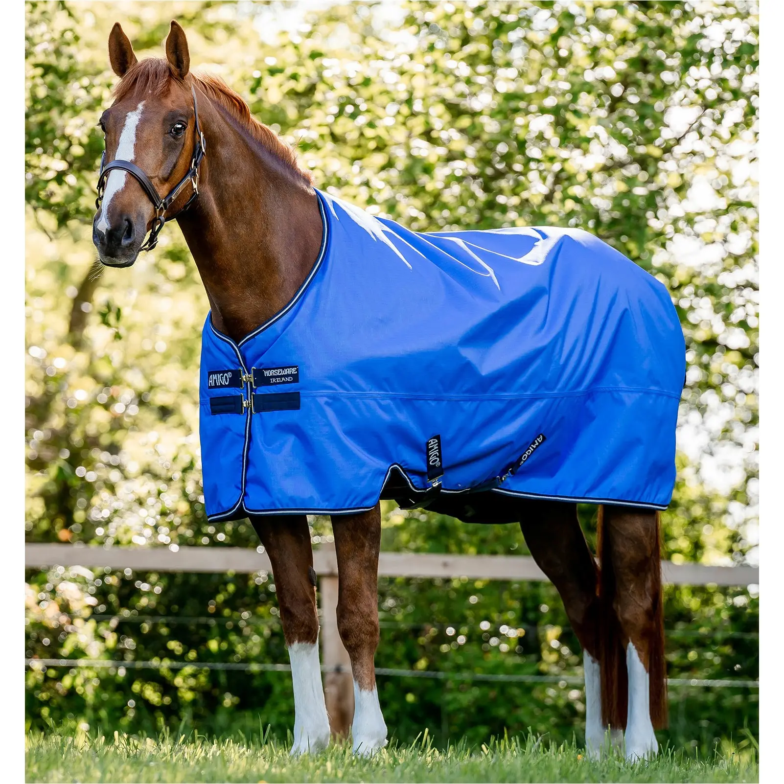 Outdoordecke 50g Füllung 600D AMIGO Hero Ripstop Horseware blue/navy