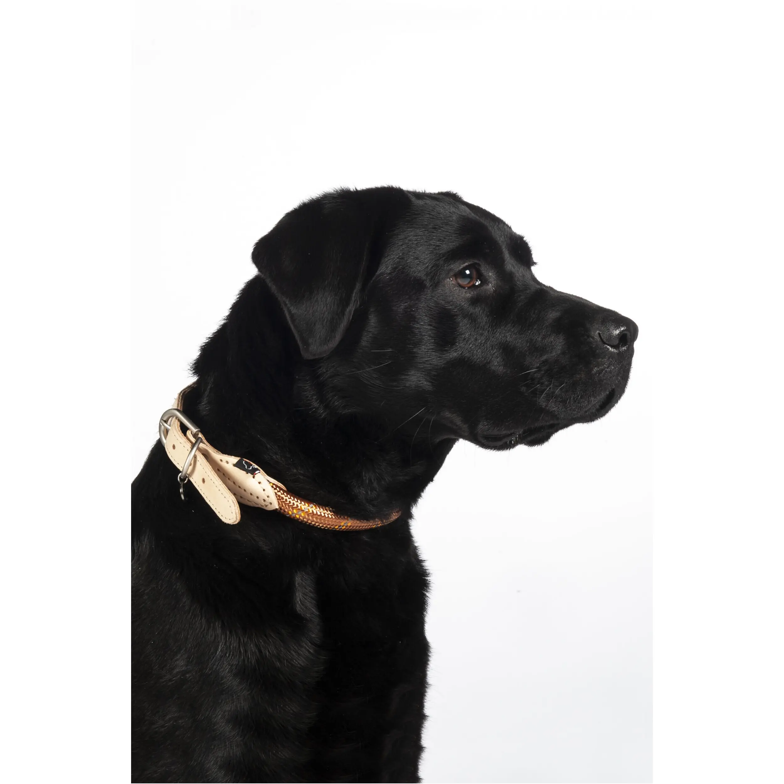 Hundehalsband ANAM CARA TAU cognac