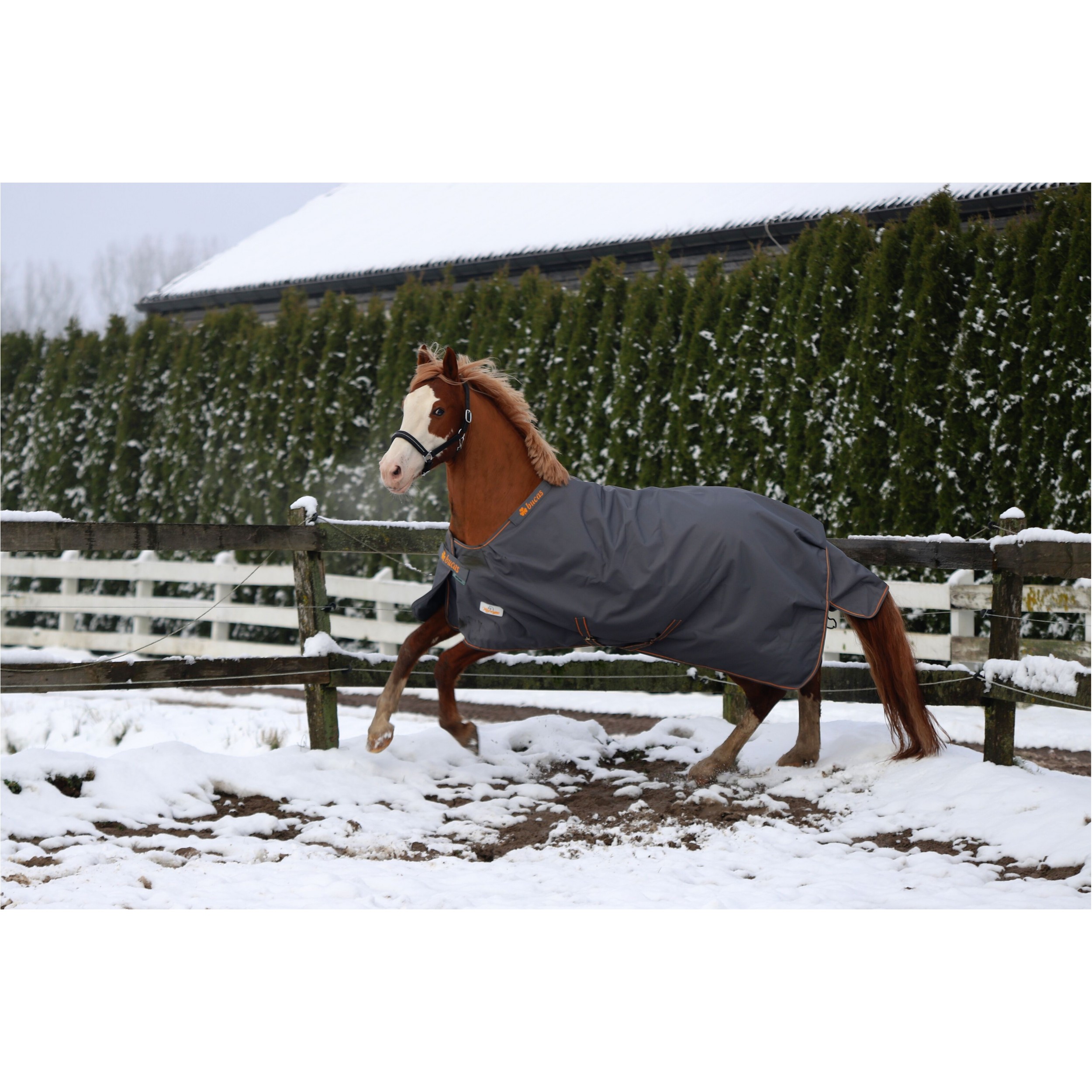 Weidedecke Stay-Dry 1200D IRISH TURNOUT grau/orange