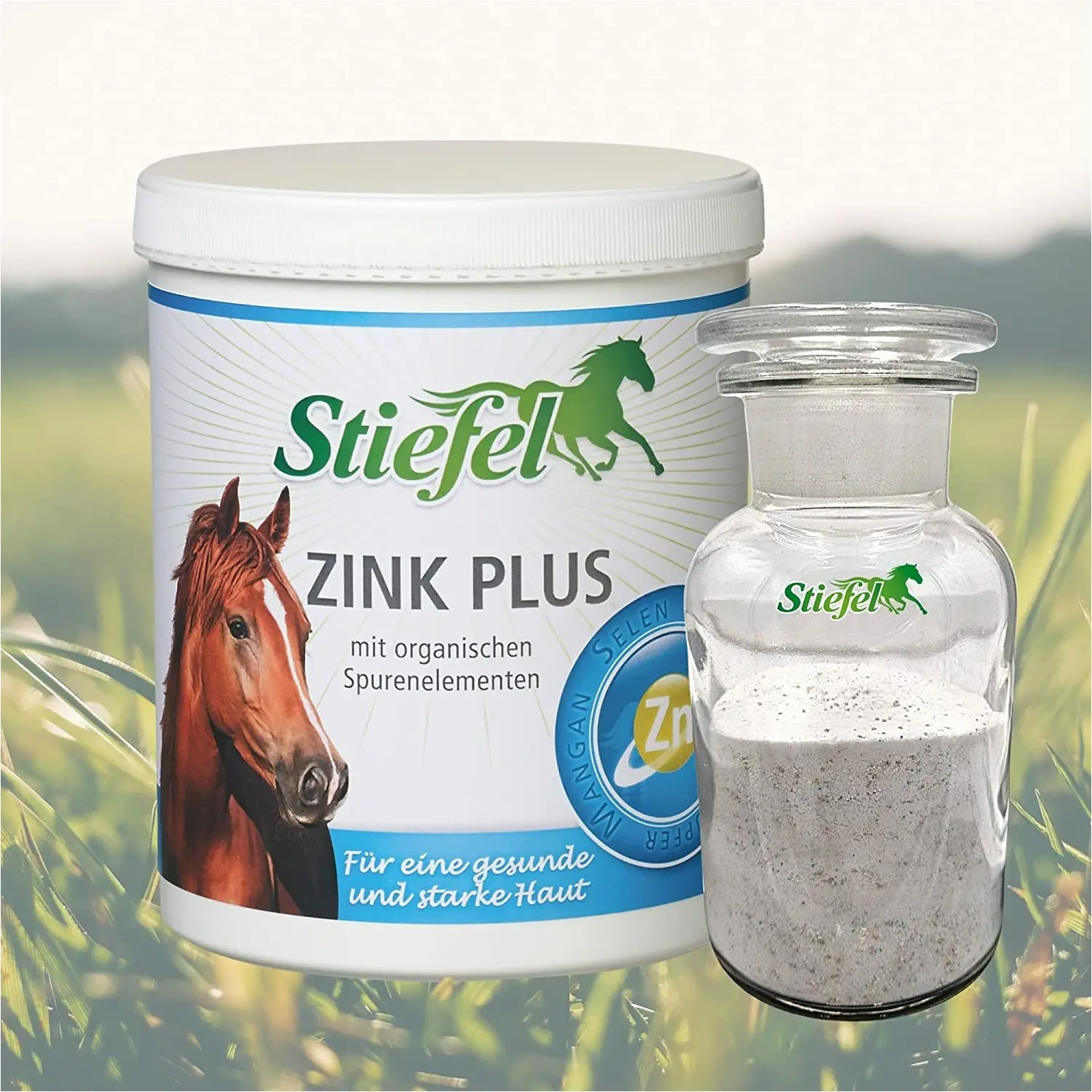 Zink Plus Pulver für eine gesunde und starke Haut 900g