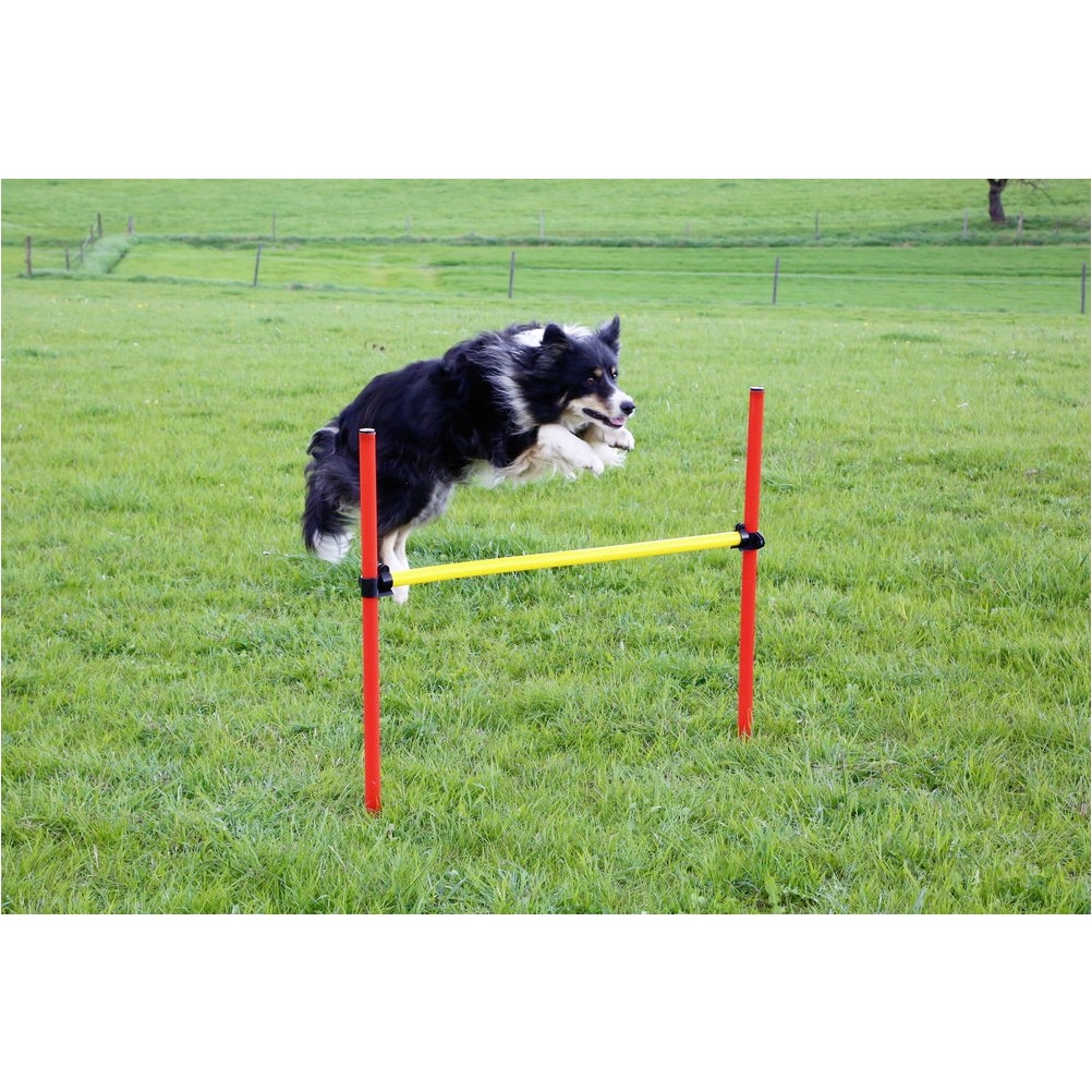 Komplett-Set (3-teilig) AGILITY rot/gelb