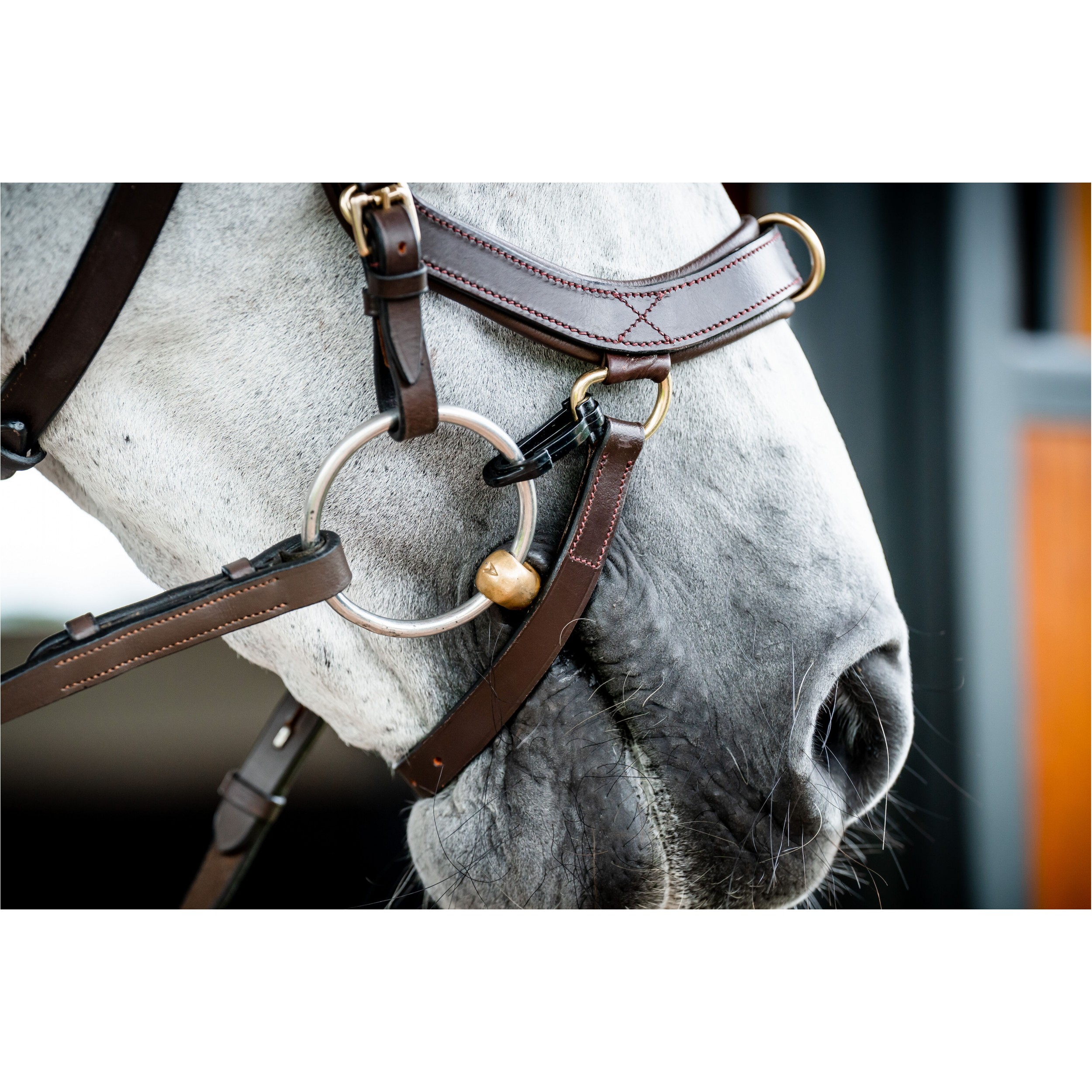 Trensenzaum MICKLEM 2 Multi Bridle dark havanna