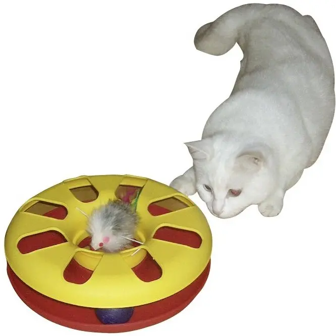 Katzenspielzeug RACING WHEEL farblich sortiert ø 24cm