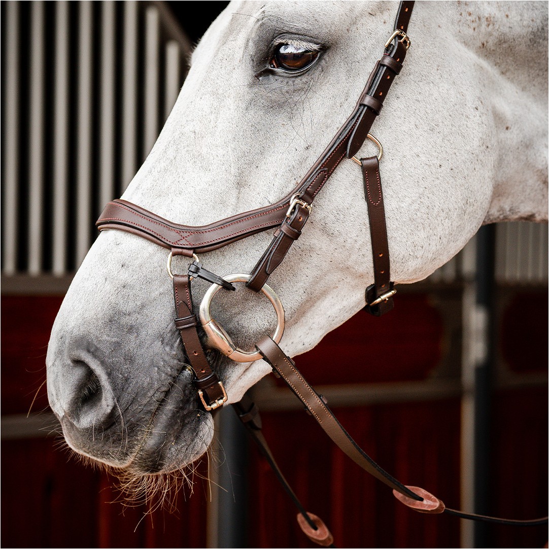 Trensenzaum MICKLEM 2 Competition Bridle dark havana