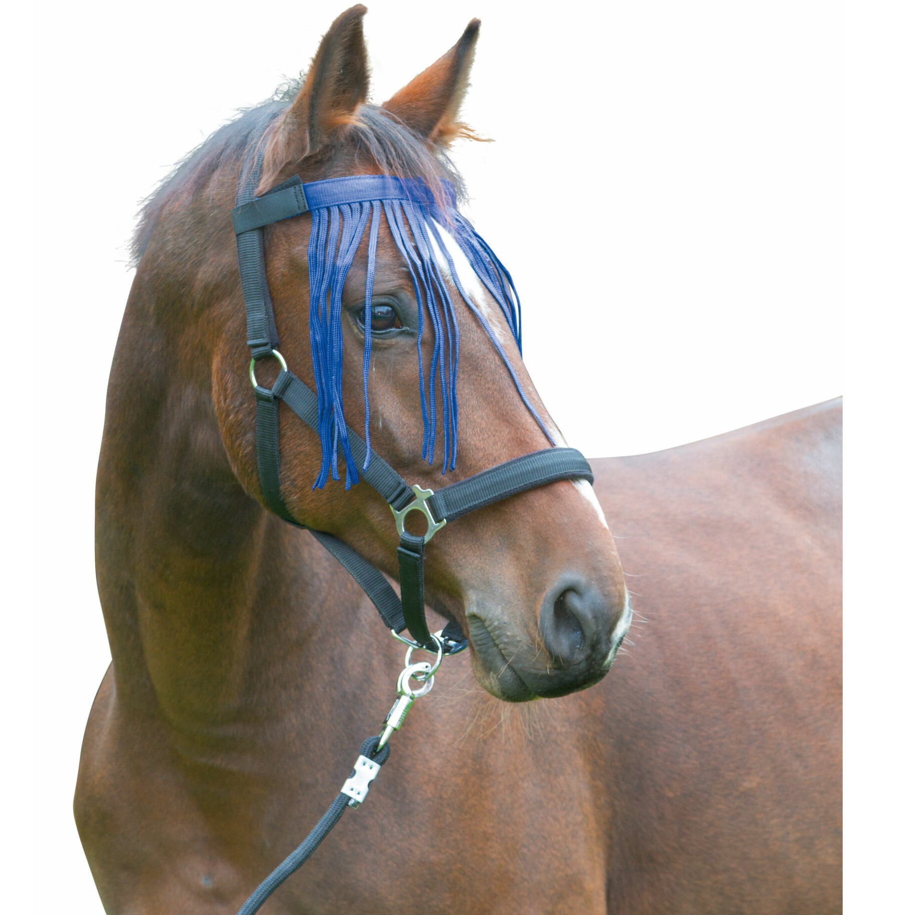 Fliegenfransenband mit Klettverschluß blau