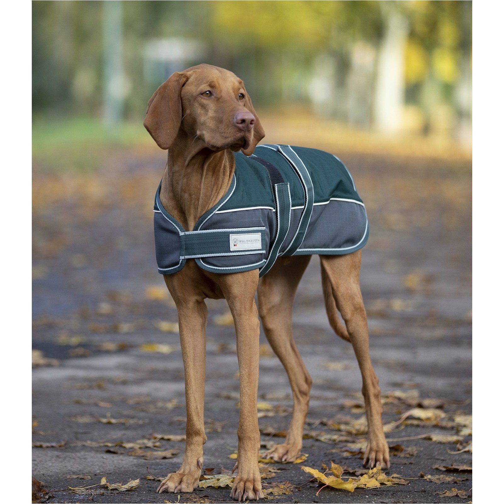 Hundedecke 200g Füllung 1200D COMFORT tannengrün