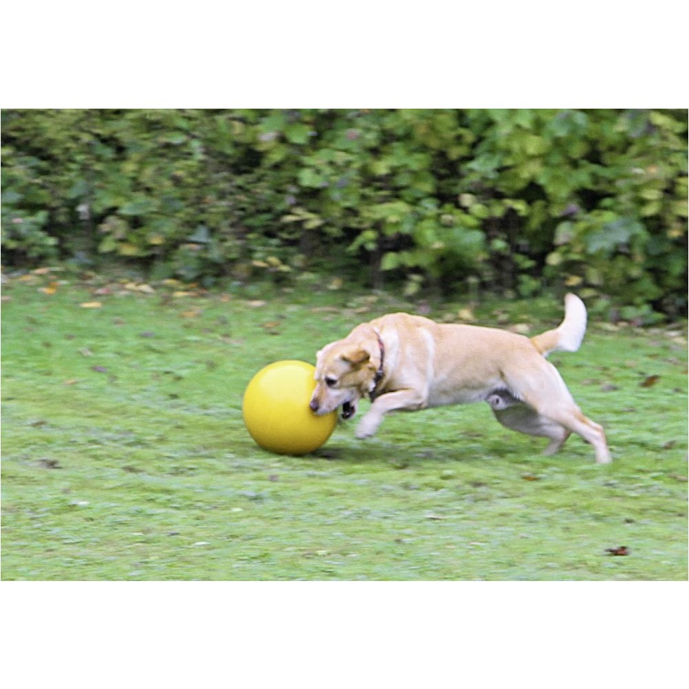 Hundespielball aus Kunststoff gelb ø 30cm 