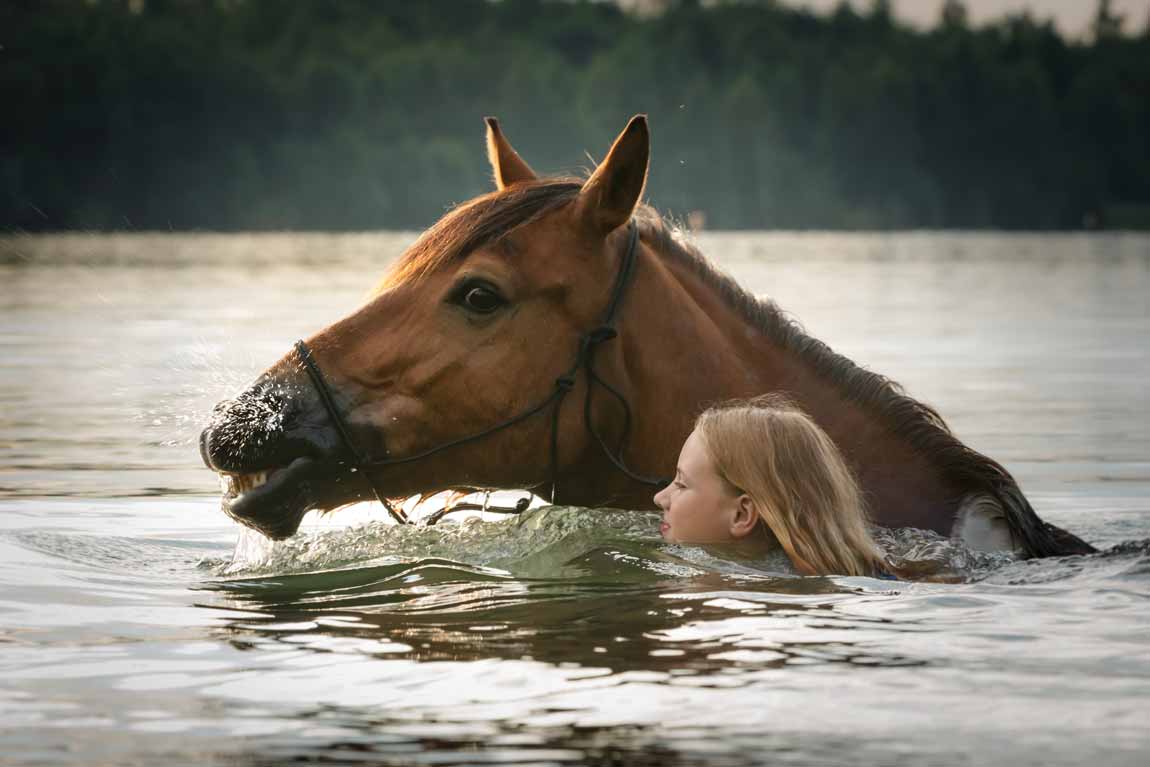 baden-mit-pferd-schwimmen-see-wasser