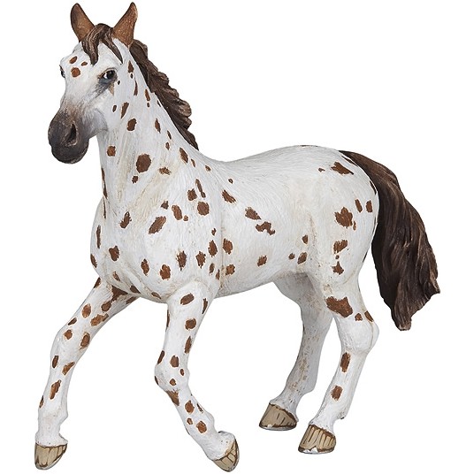 Appaloosa Stute braun