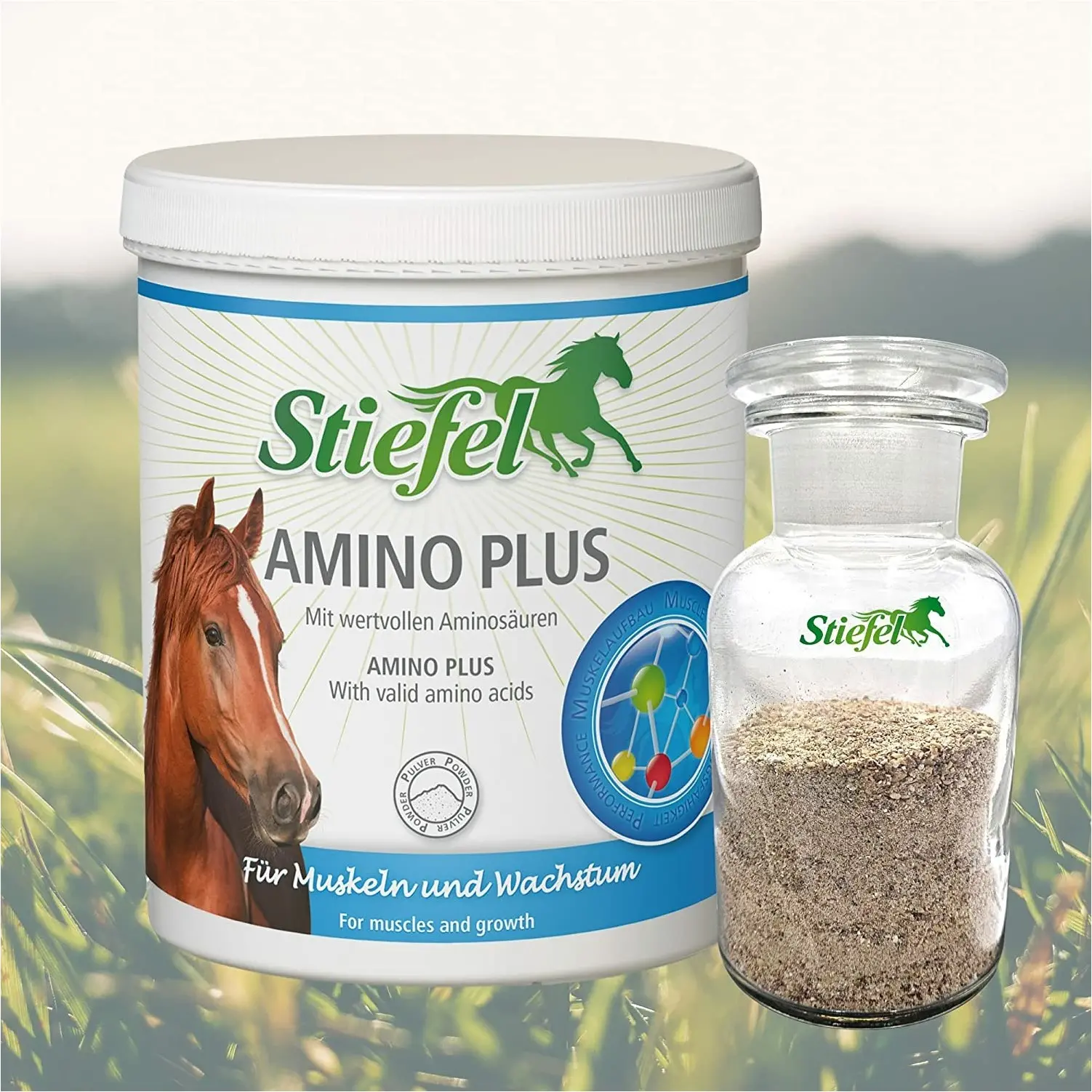 Amino Plus Pulver für Muskeln und Wachstum 1000g