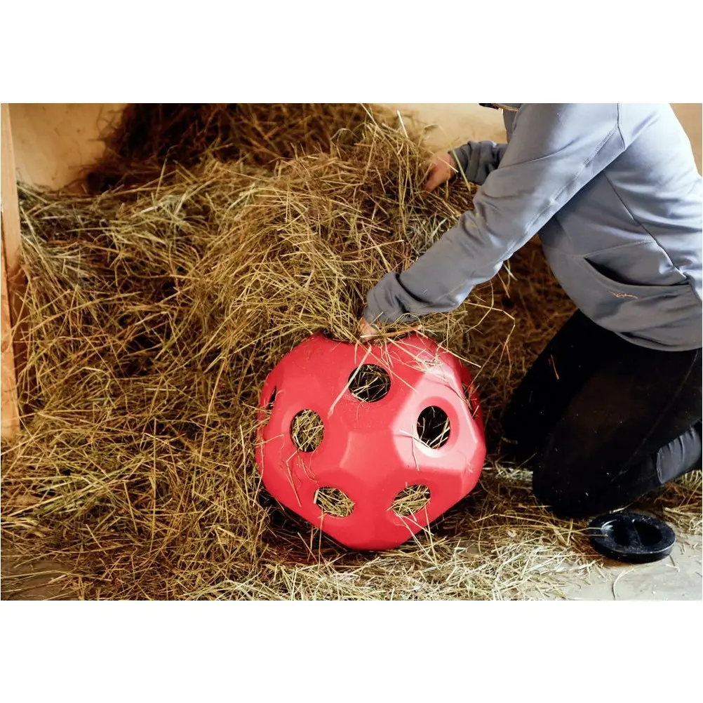 Futterspielball HEUBOY rot 40cm