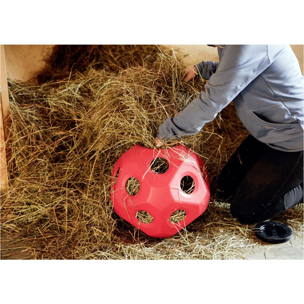 Futterspielball HEUBOY rot 40cm