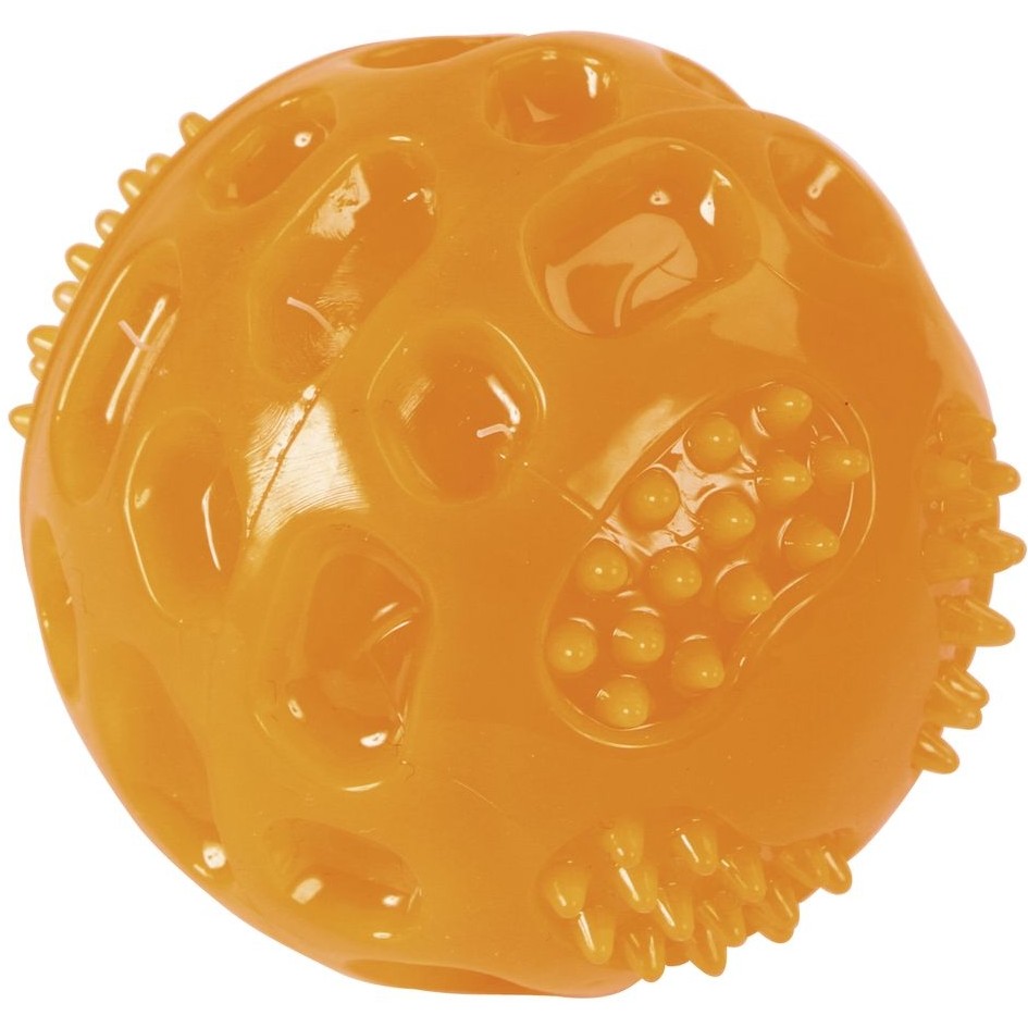 Ball TOYFASTIC SQUEAKY orange