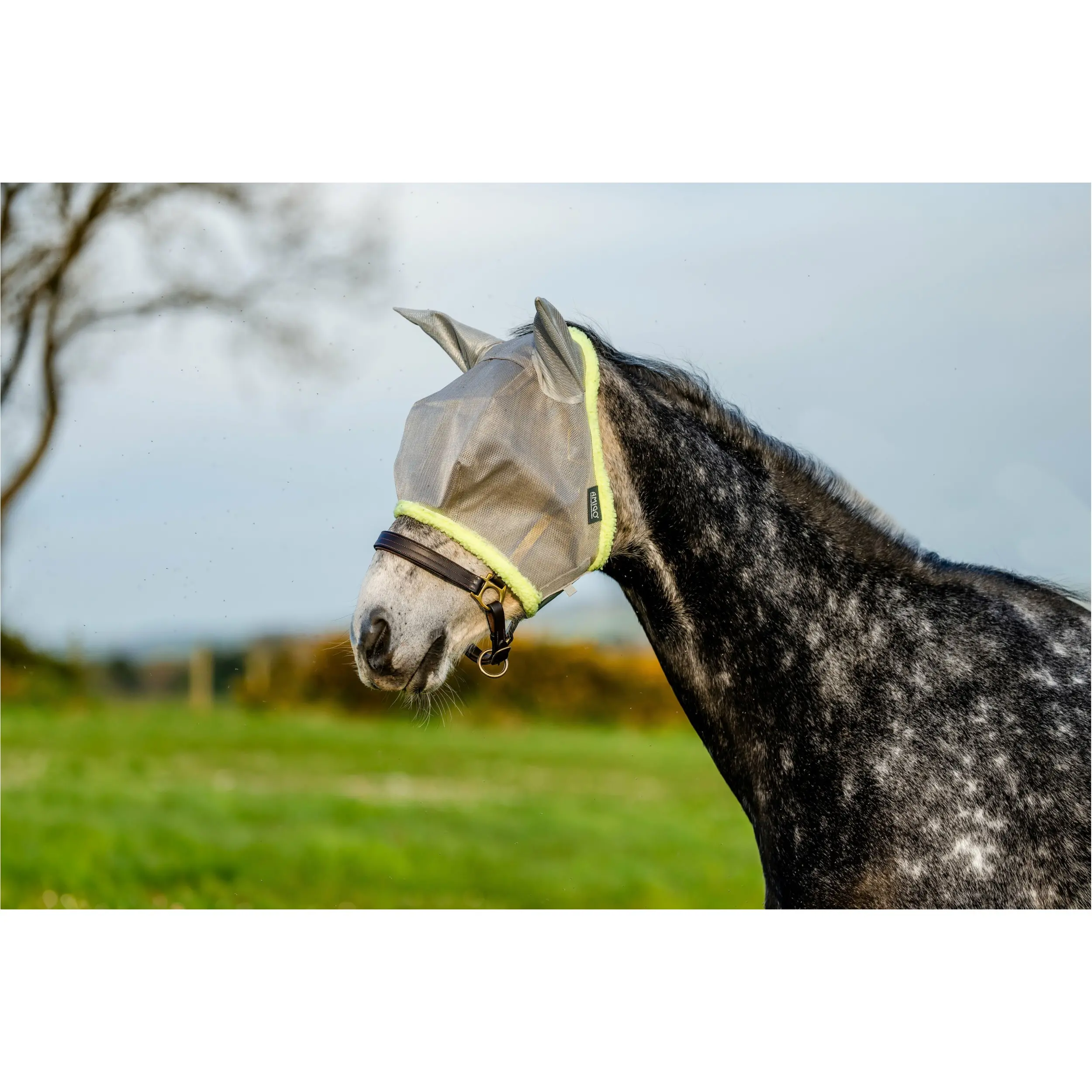 Fliegenmaske AMIGO Flymask silver/lime