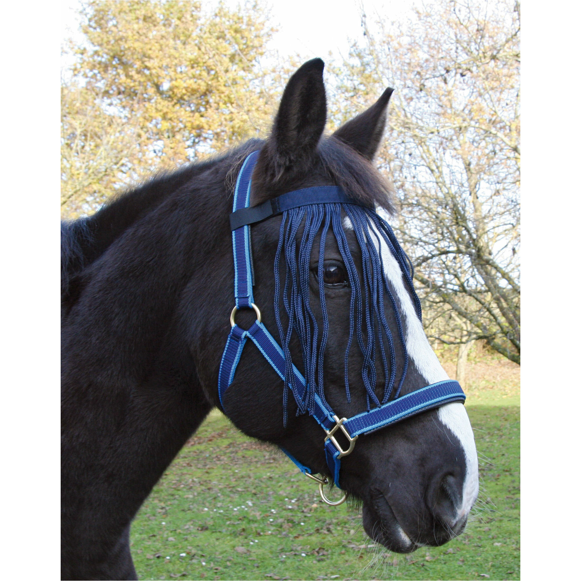 Fliegenfransenband mit Klettverschluß blau