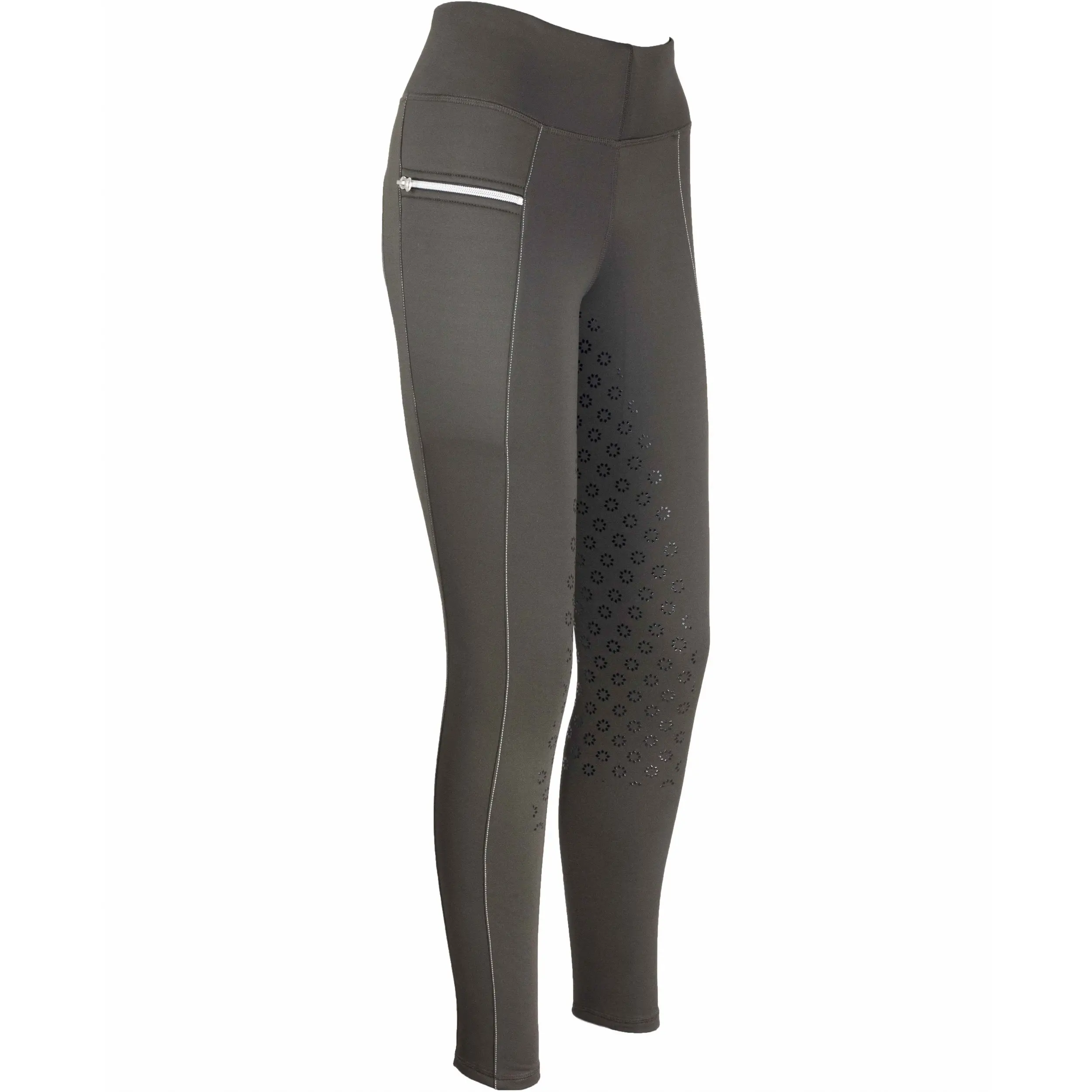 Winter Damen Reitleggings Silikon Vollbesatz LISA braun