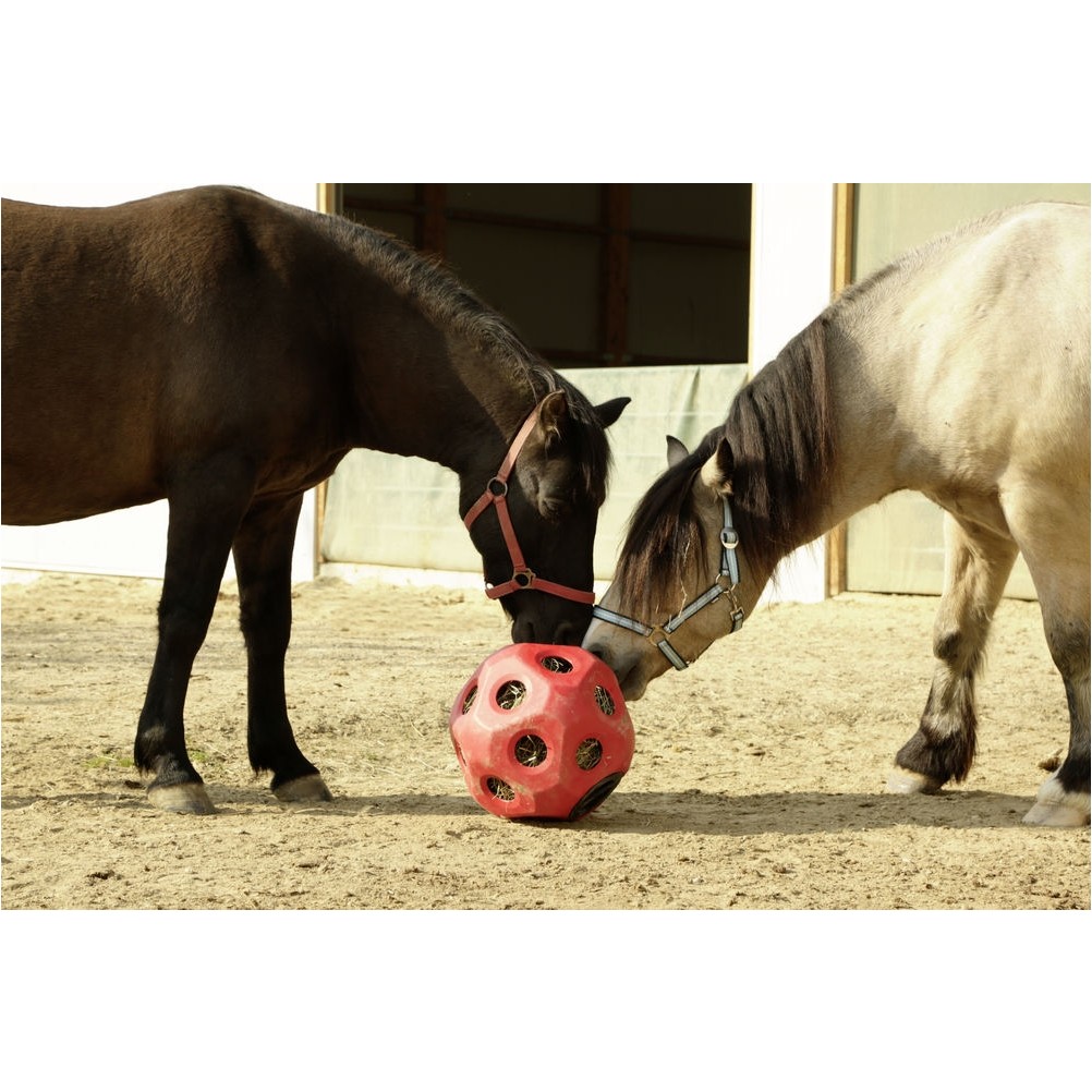 Futterspielball HEUBOY rot 40cm