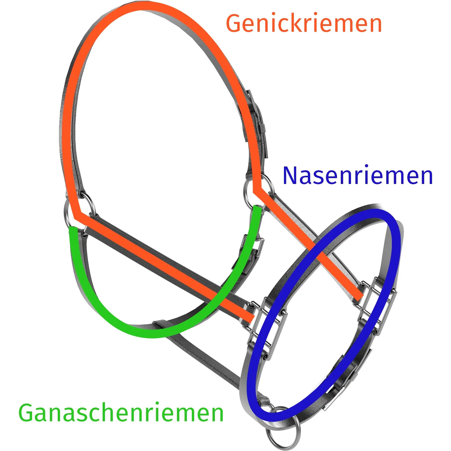 Fohlenhalfter rot