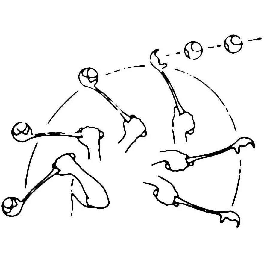 Weitwurfstab mit Tennisball MAXI SPEED farblich sortiert 65cm